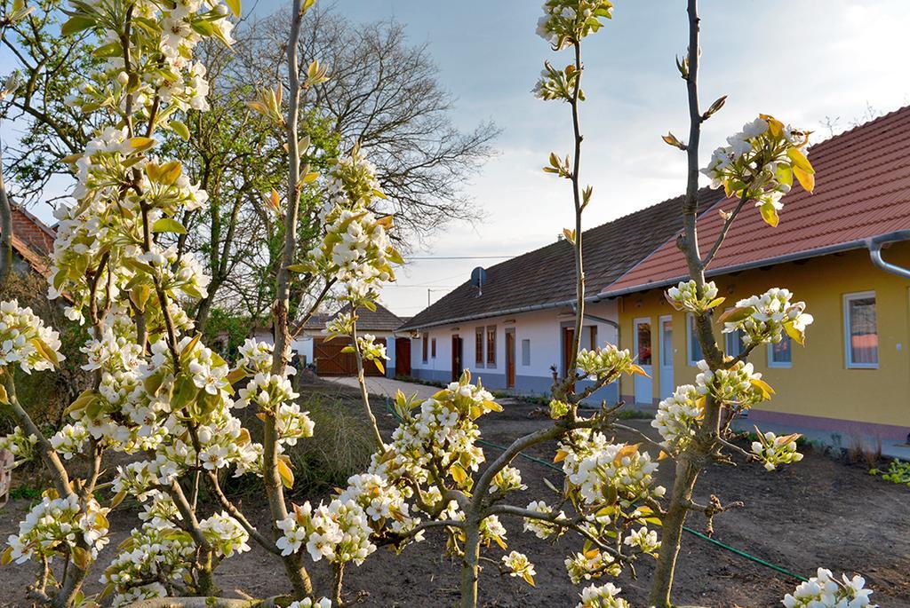 Hotel Rigofuetty Vendeghaz Tiszaalpar Exteriér fotografie