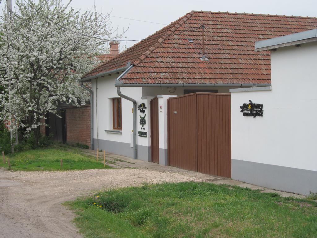 Hotel Rigofuetty Vendeghaz Tiszaalpar Exteriér fotografie