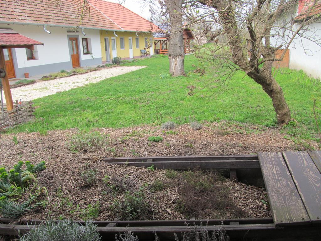 Hotel Rigofuetty Vendeghaz Tiszaalpar Exteriér fotografie