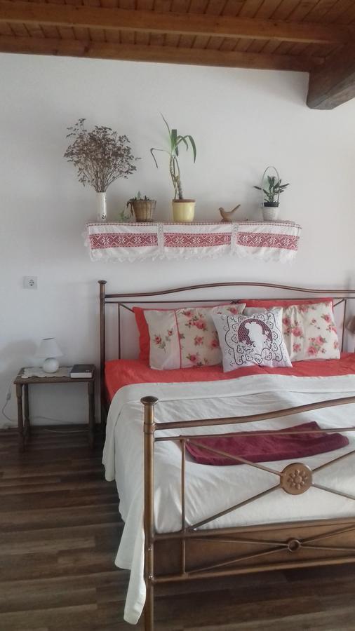 Hotel Rigofuetty Vendeghaz Tiszaalpar Exteriér fotografie