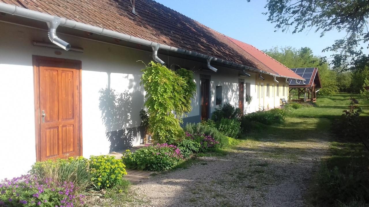 Hotel Rigofuetty Vendeghaz Tiszaalpar Exteriér fotografie