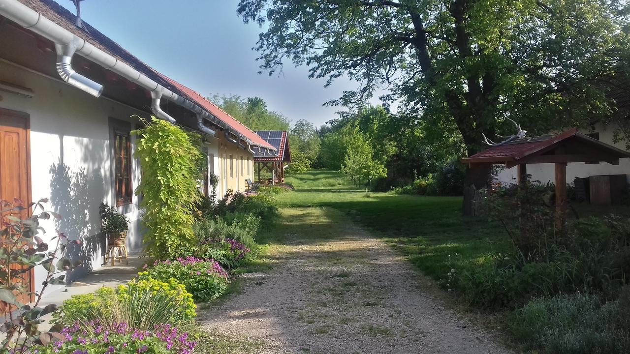 Hotel Rigofuetty Vendeghaz Tiszaalpar Exteriér fotografie